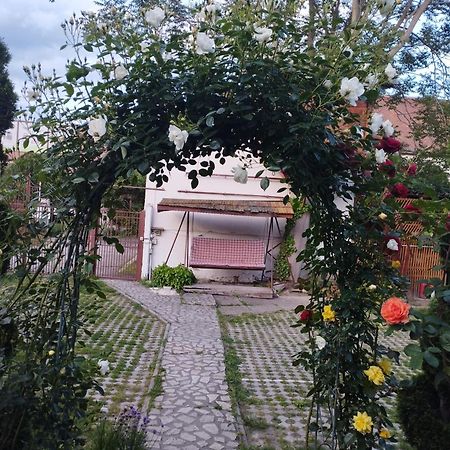 Pensiunea Sub Cetate Deva Zewnętrze zdjęcie